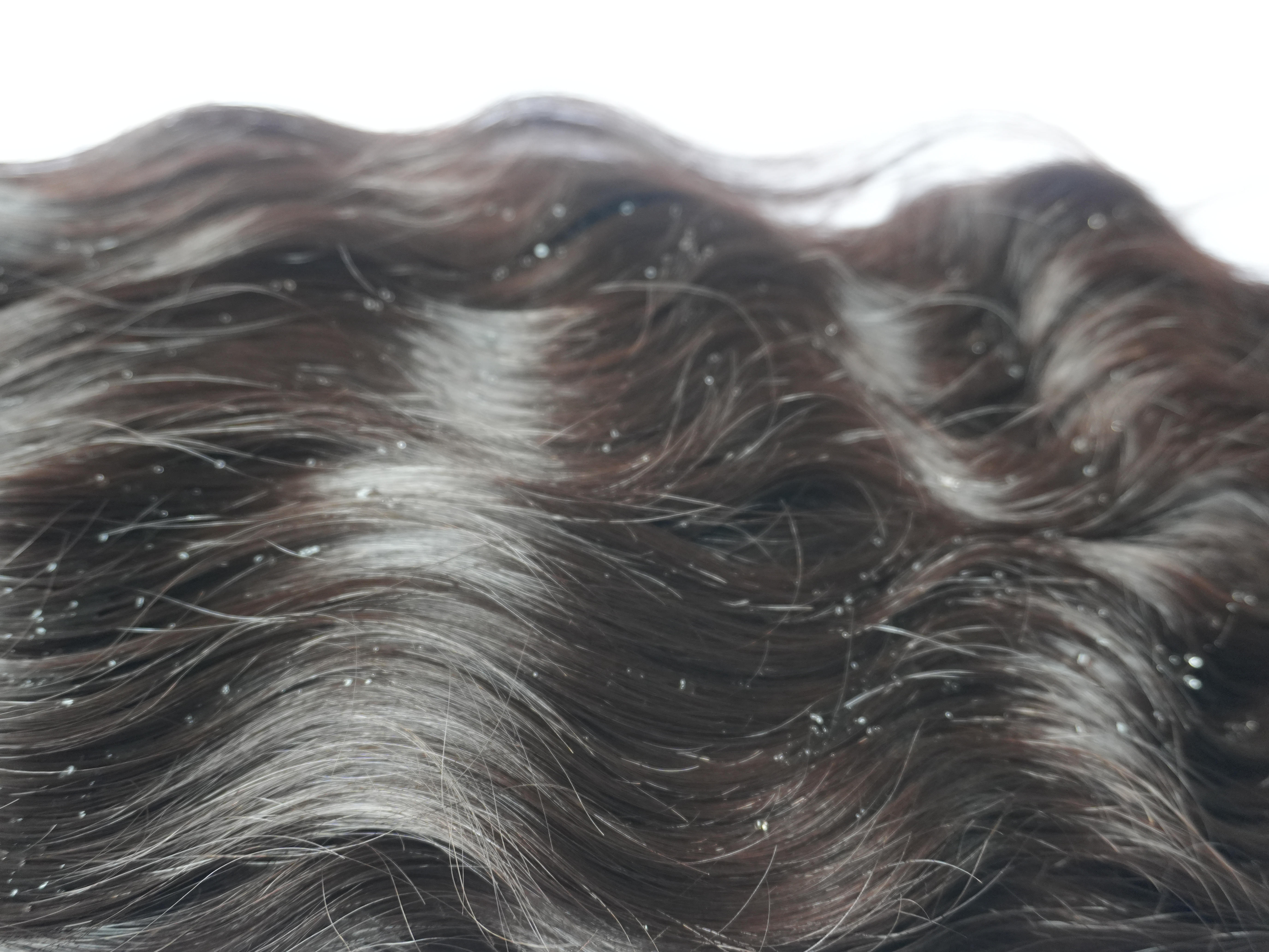 Home banner 2