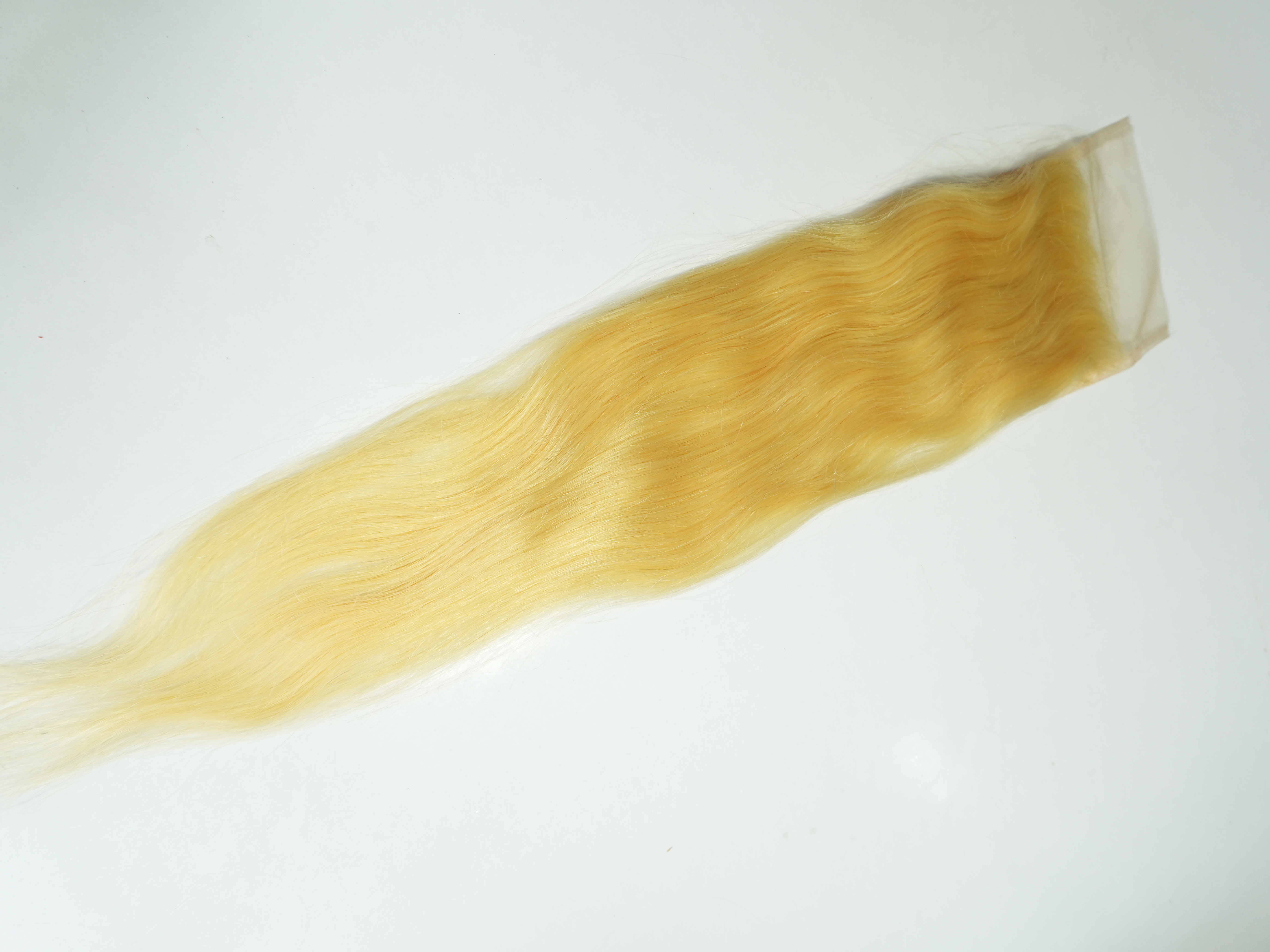 Dsc02021